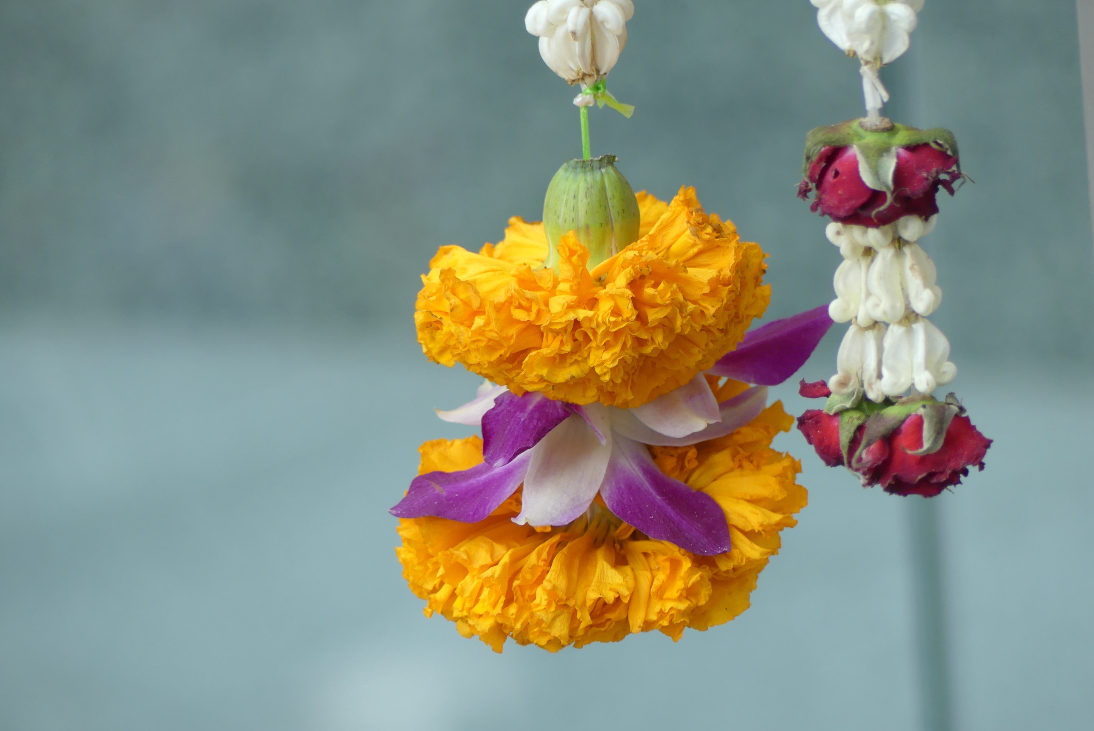 Blumenketten